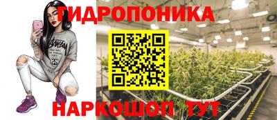 бошки Тула
