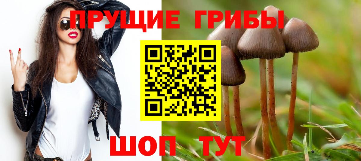 Псилоцибиновые грибы Psilocybine cubensis  Псилоцибиновые грибы GOLDEN TEACHER  Ирбит  Вход с VPN 